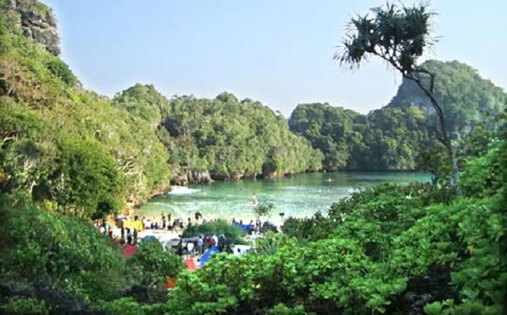 Nikmati Rasa Autentik di Tepi Hutan Mangrove Cilacap