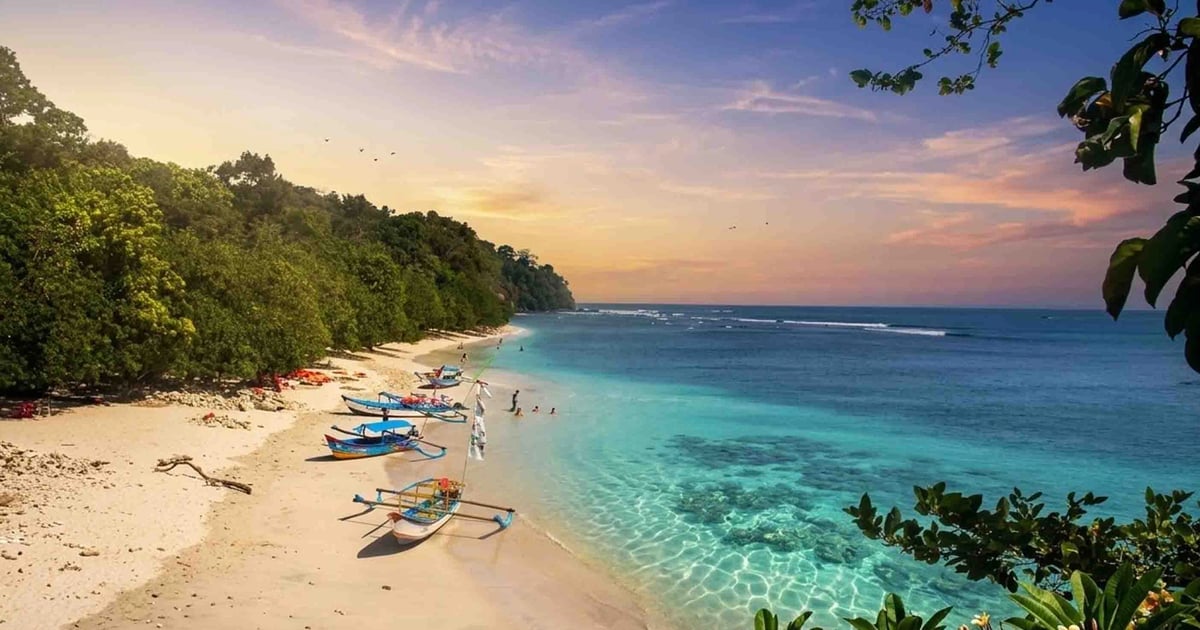 Rahasia Rasa di Tepi Pantai Cilacap: Cagar Alam Nusakambangan Timur